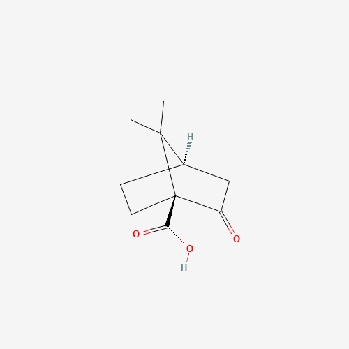 40724-67-2 (1S)-7,7-Dimethyl-2-oxobicyclo[2.2.1]heptane-1-carboxylic acid chemical structure