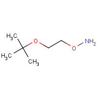 1023742-13-3 2-[2-(Aminooxy)ethoxy]-2-methylpropane chemical structure