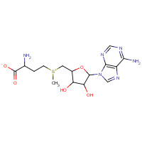 485-80-3 2-Amino-4-[{[5-(6-amino-9H-purin-9-yl)-3,4-dihydroxytetrahydro-2-furanyl]methyl}(methyl)sulfonio]butanoate (non-preferred name) chemical structure