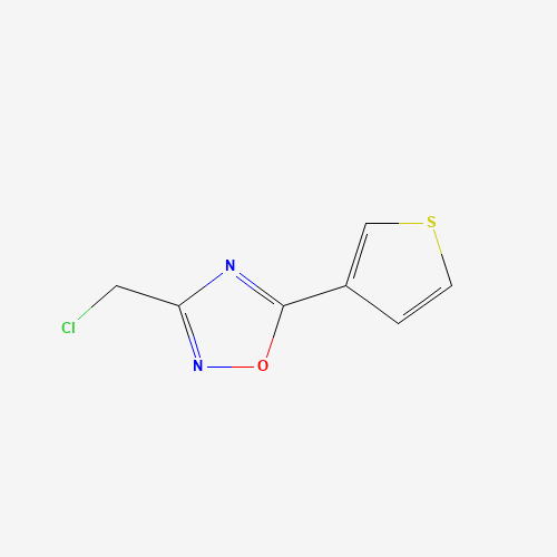 184970-24-9 3-(chloromethyl)-5-(3-thienyl)-1,2,4-oxadiazole chemical structure