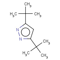 1132-14-5 3,5-di-tert-butyl-1H-pyrazole chemical structure
