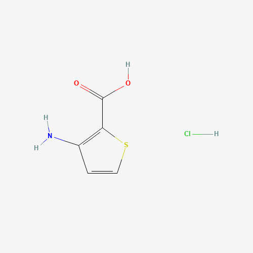 1016552-72-9 3-Aminothiophene-2-carboxylic acid hydrochloride chemical structure
