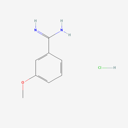 26113-44-0 3-Methoxybenzenecarboximidamide hydrochloride chemical structure