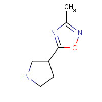 902836-46-8 3-methyl-5-(pyrrolidin-3-yl)-1,2,4-oxadiazole chemical structure