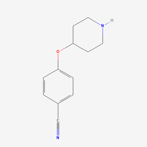 224178-67-0 4-(piperidin-4-yloxy)benzonitrile chemical structure