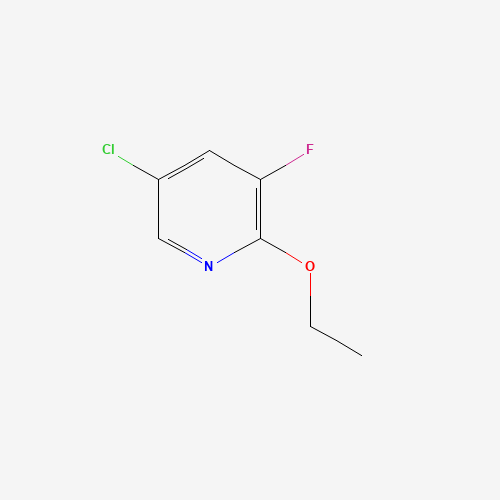 886373-94-0 5-Chloro-2-ethoxy-3-fluoropyridine chemical structure