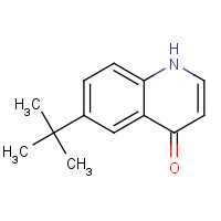 444609-92-1 6-tert-Butylquinolin-4-ol chemical structure