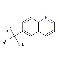 68141-13-9 6-tert-Butylquinoline chemical structure