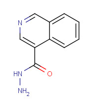 885272-60-6 Isoquinoline-4-carbohydrazide chemical structure