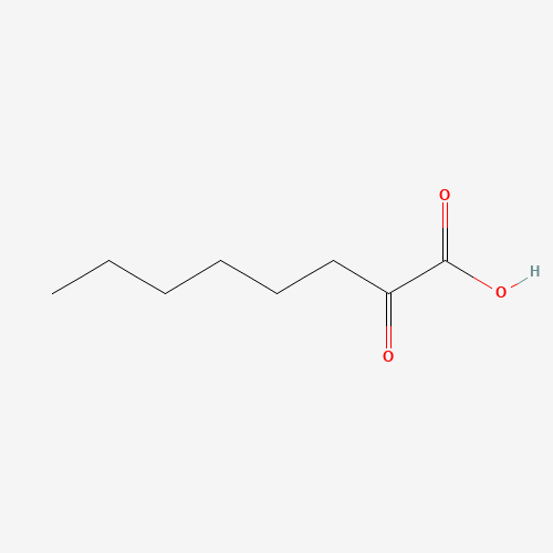 328-51-8 oxooctanoic acid chemical structure