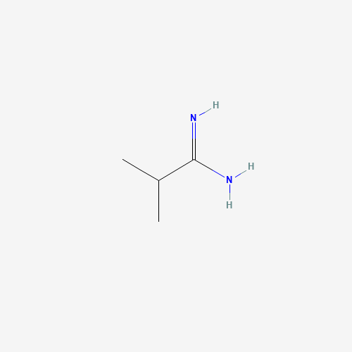 57536-10-4 (1Z)-2-Methylpropanimidamide chemical structure