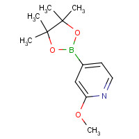 10476-95-6 2-Methoxy-4-(4,4,5,5-tetramethyl-1,3,2-dioxaborolan-2-yl)pyridine chemical structure