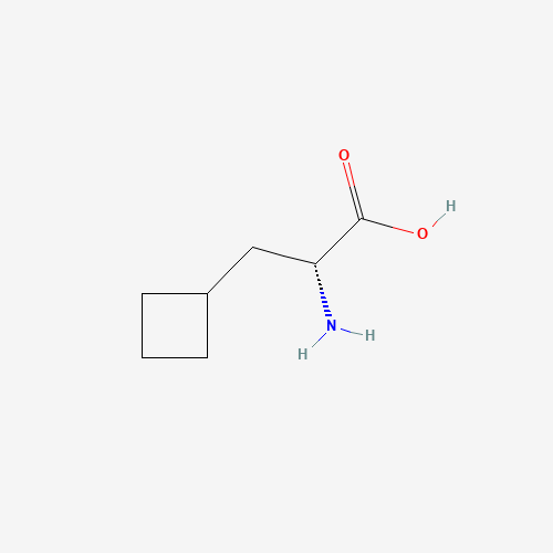 174266-00-3 3-Cyclobutyl-D-alanine chemical structure