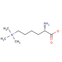 23284-33-5 N-EPSILON,N-EPSILON,N-EPSILON-TRIMETHYLLYSINE chemical structure