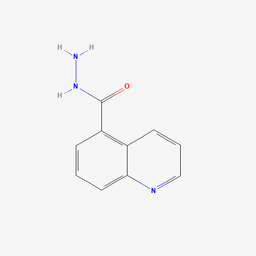 96541-83-2 QUINOLINE-5-CARBOXYLIC ACID HYDRAZIDE chemical structure