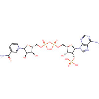 53-59-8 NADP chemical structure