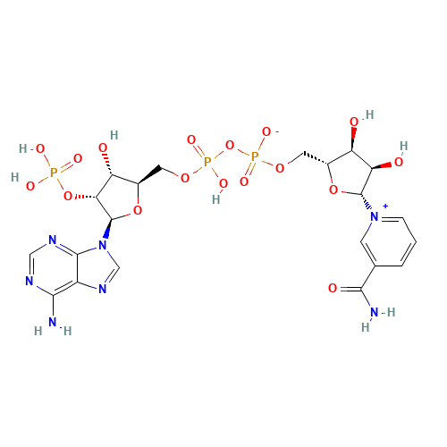 53-59-8 NADP chemical structure