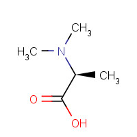 2812-31-9 N(alpha),N(alpha)-Dimethylalanine chemical structure