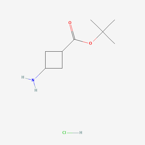 1192549-09-9 cis-tert-butyl 3-aMinocyclobutanecarboxylate hydrochloride chemical structure
