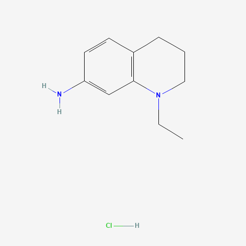 927684-98-8 N-ETHYL-1,2,3,4-TETRAHYDRO-7-QUINOLINAMINE HYDROCHLORIDE chemical structure