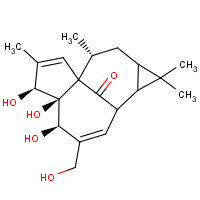 30220-46-3 INGENOL chemical structure