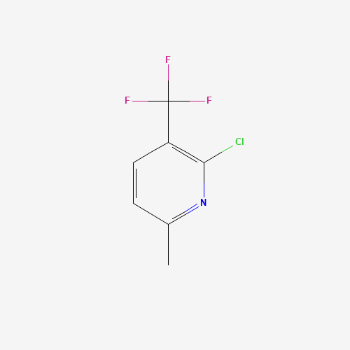 1099597-74-6 2-CHLORO-6-METHYL-3-(TRIFLUOROMETHYL)PYRIDINE chemical structure