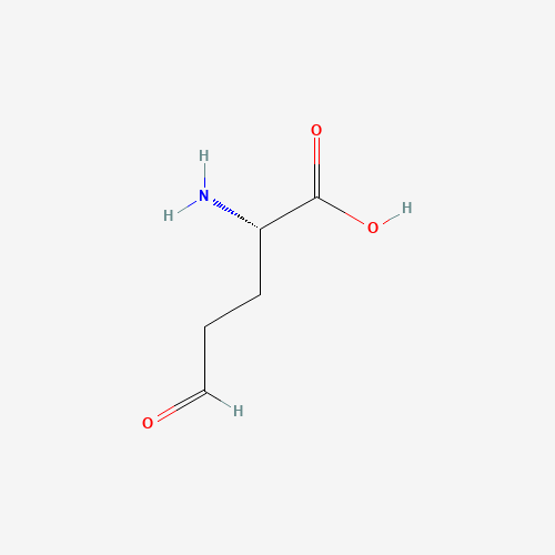496-92-4 2-amino-5-oxo-pentanoic acid chemical structure