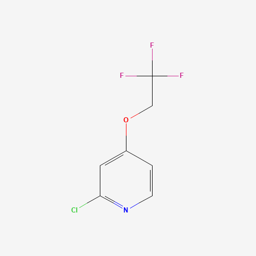 885277-01-0 2-CHLORO-4-(2,2,2-TRIFLUORO-ETHOXY)-PYRIDINE chemical structure