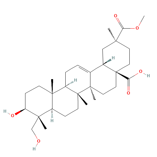 54928-05-1 Phytolaccagenic acid chemical structure