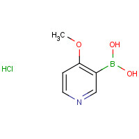 874959-97-4 (4-methoxypyridin-3-yl)boronic acid hydrochloride chemical structure
