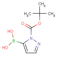 1217500-54-3 1-(T-BUTOXYCARBONYL)PYRAZOLE-5-BORONIC ACID chemical structure