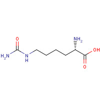 1383-01-8 L-Homocitrulline chemical structure