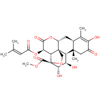 14907-98-3 Brusatol chemical structure