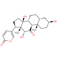 17008-69-4 psi-Bufarenogin chemical structure