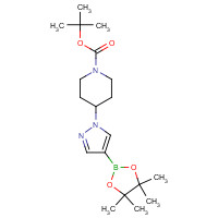 877399-74-1 tert-butyl 4-(4-(4,4,5,5-tetramethyl-1,3,2-dioxaborolan-2-yl)-1H-pyrazol-1-yl)piperidine-1-carboxylate chemical structure