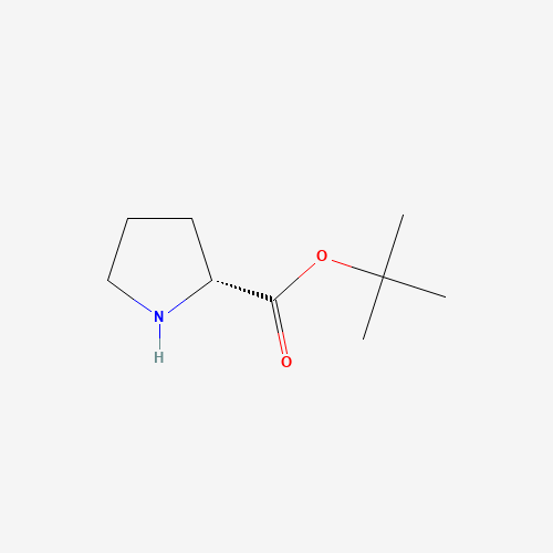 90071-62-8 H-D-PRO-OTBU chemical structure