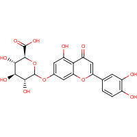 29741-10-4 (2S,3S,4S,5R)-6-[2-(3,4-dihydroxyphenyl)-5-hydroxy-4-oxochromen-7-yl]oxy-3,4,5-trihydroxyoxane-2-carboxylic acid chemical structure