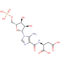3031-95-6 (2S)-2-[[5-amino-1-[(2R,3R,4S,5R)-3,4-dihydroxy-5-(phosphonooxymethyl)oxolan-2-yl]imidazole-4-carbonyl]amino]butanedioic acid chemical structure