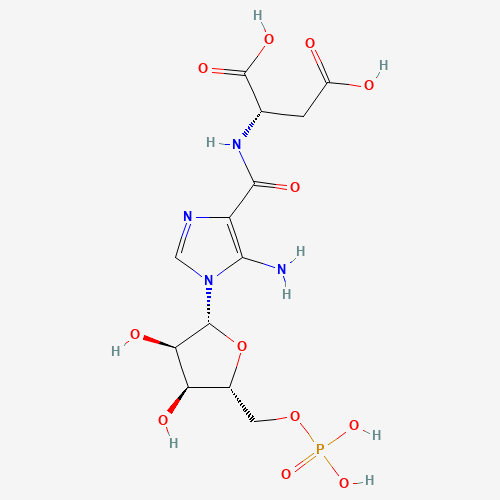 3031-95-6 (2S)-2-[[5-amino-1-[(2R,3R,4S,5R)-3,4-dihydroxy-5-(phosphonooxymethyl)oxolan-2-yl]imidazole-4-carbonyl]amino]butanedioic acid chemical structure