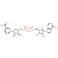 112345-60-5 [[5-(6-aminopurin-9-yl)-3,4-dihydroxyoxolan-2-yl]methoxy-hydroxyphosphoryl] [4-(3-carbamoylpyridin-1-ium-1-yl)-2,3-dihydroxycyclopentyl]methyl phosphate chemical structure