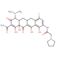 1207283-85-9 (4S,4aS,5aR,12aR)-4-(dimethylamino)-7-fluoro-1,10,11,12a-tetrahydroxy-3,12-dioxo-9-[(2-pyrrolidin-1-ylacetyl)amino]-4a,5,5a,6-tetrahydro-4H-tetracene-2-carboxamide chemical structure