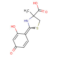 239101-33-8 (2Z,4S)-2-(2-hydroxy-4-oxocyclohexa-2,5-dien-1-ylidene)-4-methyl-1,3-thiazolidine-4-carboxylic acid chemical structure
