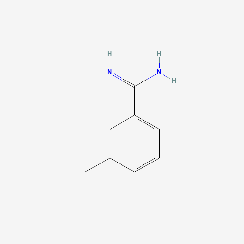 18465-28-6 3-methylbenzenecarboximidamide chemical structure