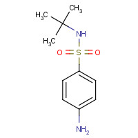 209917-48-6 4-amino-N-tert-butylbenzenesulfonamide chemical structure