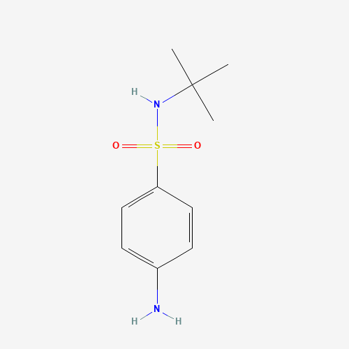 209917-48-6 4-amino-N-tert-butylbenzenesulfonamide chemical structure