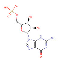 85-32-5 [(2R,3S,4R,5R)-5-(2-amino-6-oxo-3H-purin-9-yl)-3,4-dihydroxyoxolan-2-yl]methyl dihydrogen phosphate chemical structure