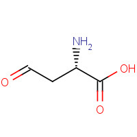 2338-03-6 L-aspartate 4-semialdehyde chemical structure