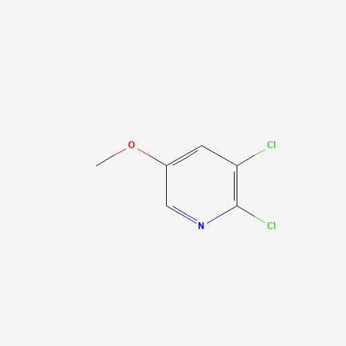 885168-12-7 2,3-dichloro-5-methoxypyridine chemical structure