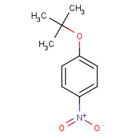 2109-72-0 1-[(2-methylpropan-2-yl)oxy]-4-nitrobenzene chemical structure