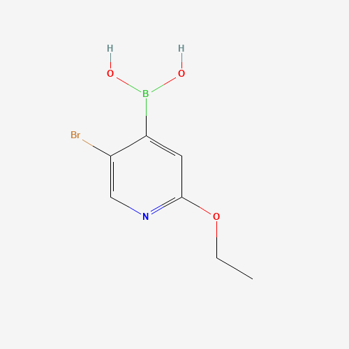 612845-46-2 (5-bromo-2-ethoxypyridin-4-yl)boronic acid chemical structure